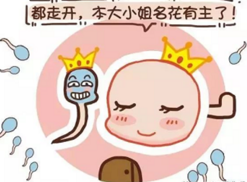 武汉三代试管医院成功率排行，哪家机构技术更优