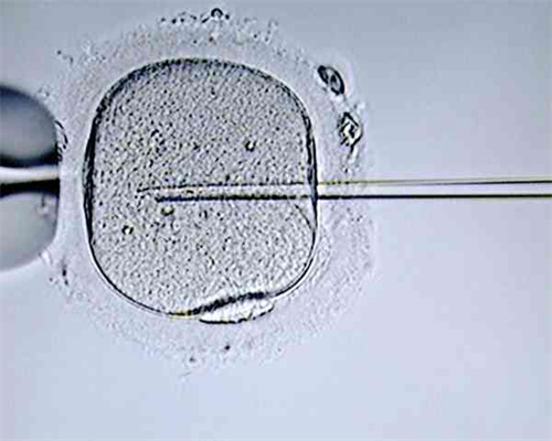 武汉单身女性如何选择医院进行精子购买与试管婴儿？