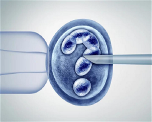 武汉私立试管机构选择指南及费用解析