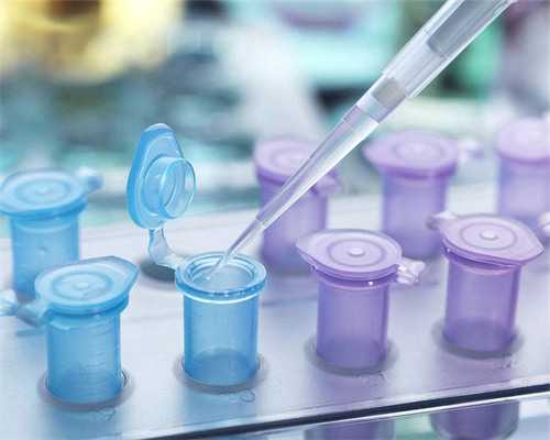 武汉第三代试管医院名单发布，专业助孕服务与详细资料解析