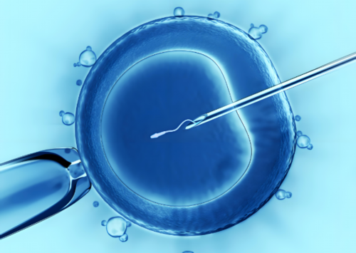 武汉优质生殖医院最新排名汇总，助孕选择指南与专业推荐