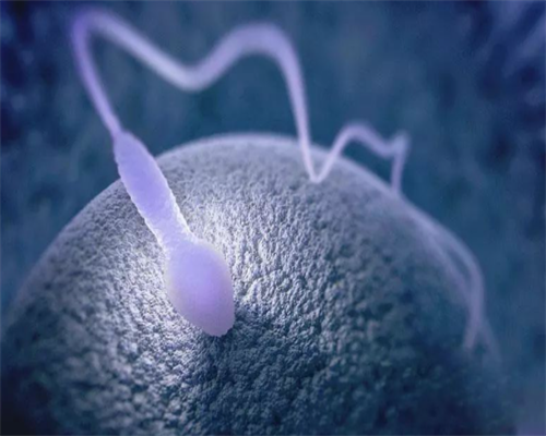 武汉唐筛费用解析与骗局真相，助孕生儿子费用参考