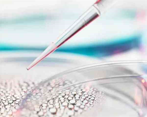 武汉同济与协和医院试管婴儿成功率对比及选择指南