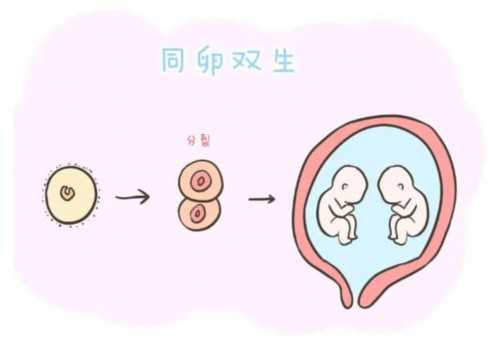 武汉三代试管龙凤胎费用解析与性别选择指南