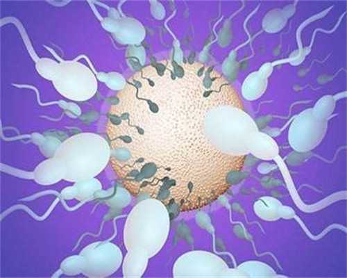 2026武汉不孕不育民间试管机构名单及医院选择指南