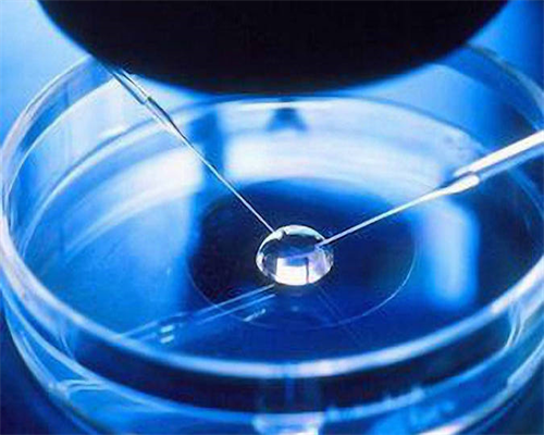 武汉三代试管优质医院推荐及上榜名单