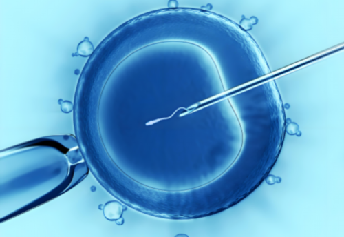 武汉妇幼保健院试管婴儿性别选择费用解析