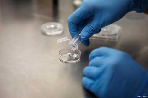 武汉试管移植优质医院推荐与选择指南