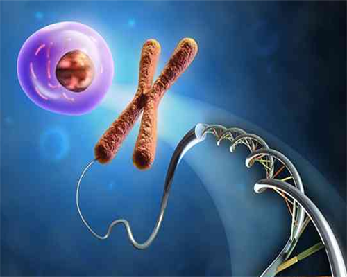 武汉协和医院人工授精费用与成功率解析