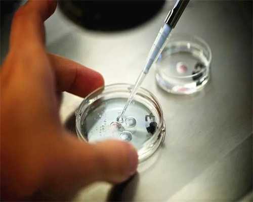 武汉四维彩超费用与预约指南，附带助孕相关信息