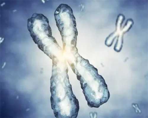 武汉同济医院徐蓓医生养囊成功率与试管助孕经验分享