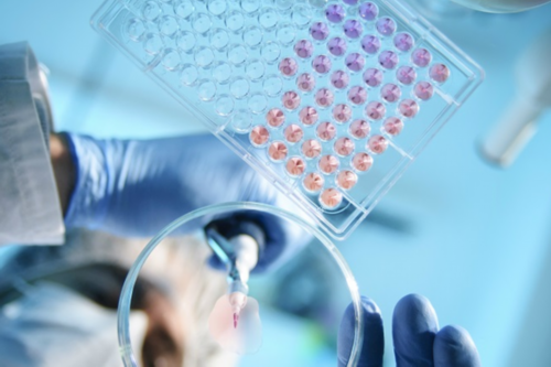 武汉优质试管医院预约指南，三家机构助您圆梦