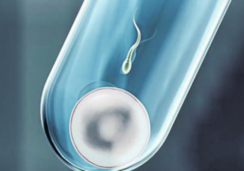 武汉试管婴儿医院选择指南与全程费用预算