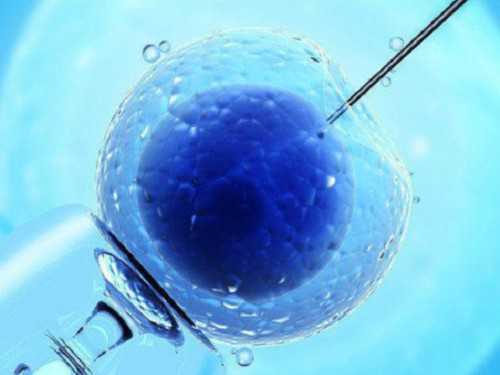 武汉三代试管婴儿医院预约指南及流程详解