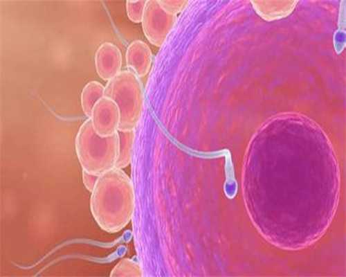 武汉三代试管机构2026真实成功率解析与必备条件