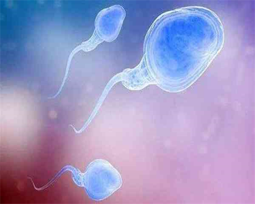 武汉三代试管婴儿医院排名与高成功率选择指南，代生代怀费用解析