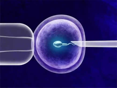 武汉三代试管婴儿检查缴费指南与专家推荐