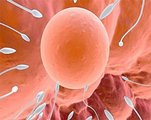 武汉第三代试管婴儿成功率如何？真实案例揭示答案